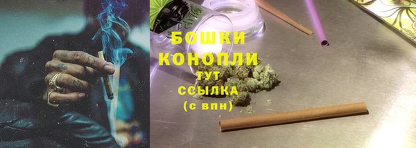 прущие грибы Пересвет