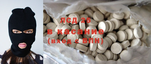 прущие грибы Пересвет