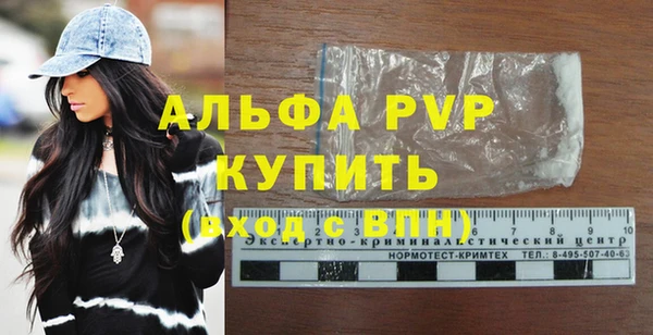 прущие грибы Пересвет