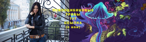прущие грибы Пересвет
