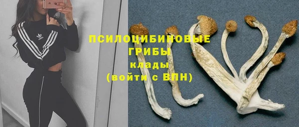 марки lsd Пестово