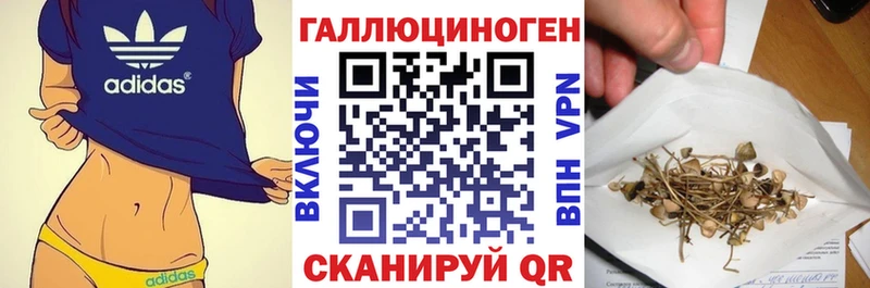 Галлюциногенные грибы GOLDEN TEACHER  Котлас 
