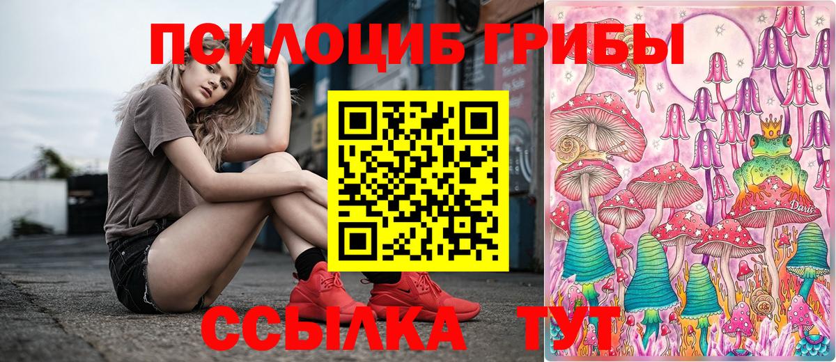 Котлас  Псилоцибиновые грибы Psilocybe  Вход с VPN  Галлюциногенные грибы Psilocybe 