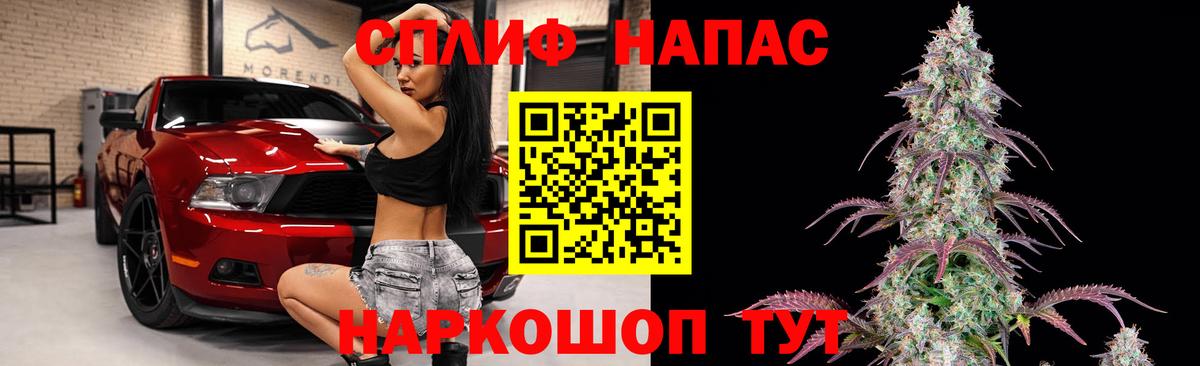 Канабис семена Котлас